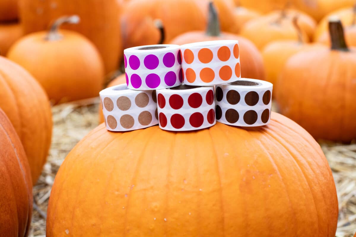 Fall Colored Dot Stickers Collection | Small 1/2" Round