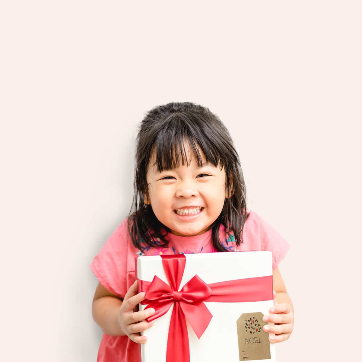 Minimalistic Kraft Christmas Gift Tags Tags - Qty 100