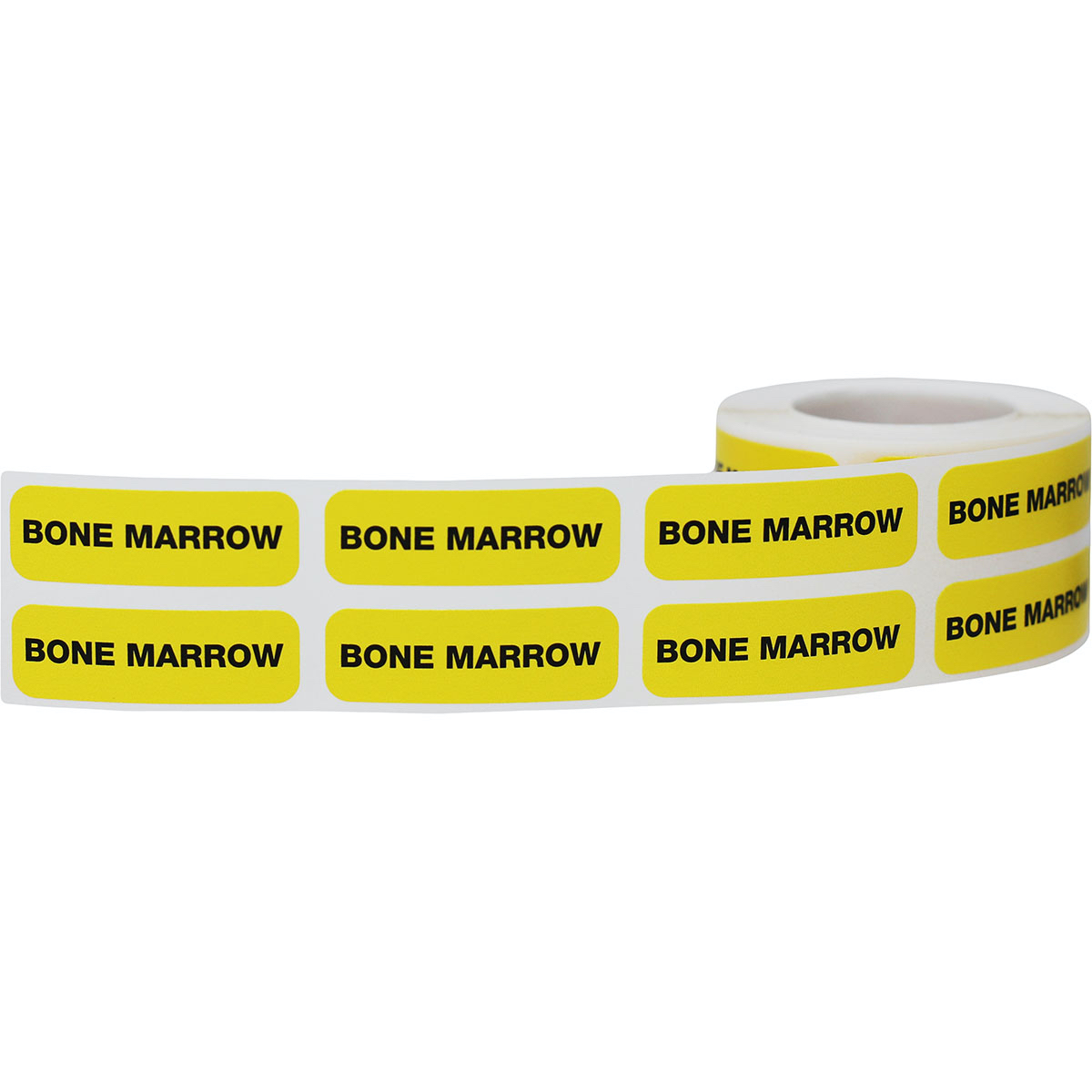 Bone Marrow Specimen File Labels