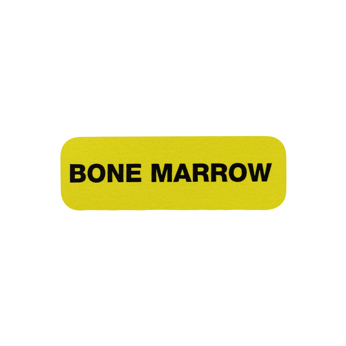 Bone Marrow Specimen File Labels