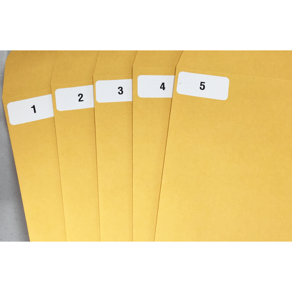 1 - 1,000 Consecutive Number Labels | .75" x 1.5" Shape