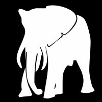 white-elephant
