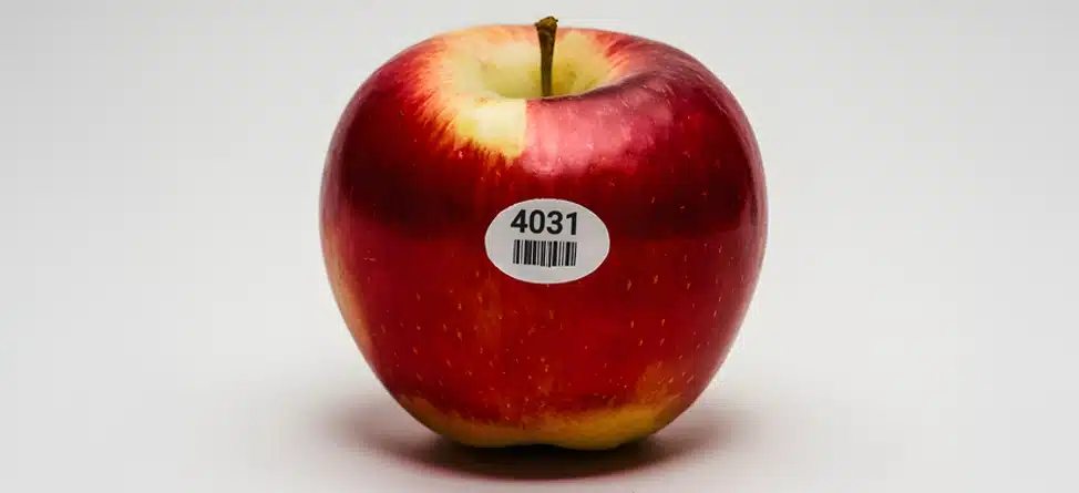 Are Fruit Labels Edible