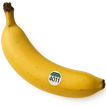 Banana 4011